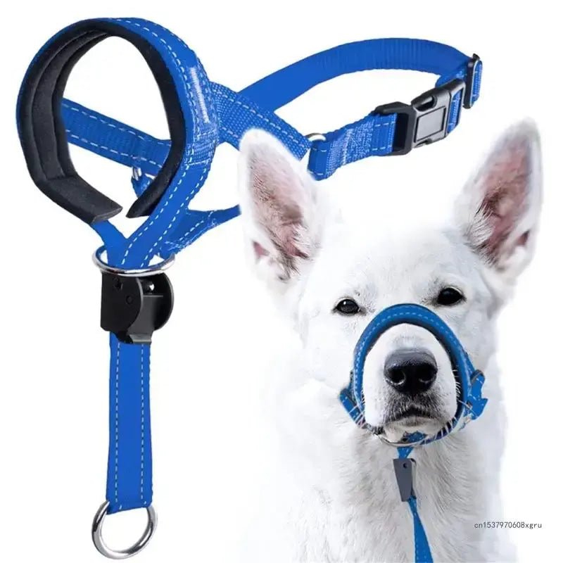 Training Collar - Pet Playhouse 1