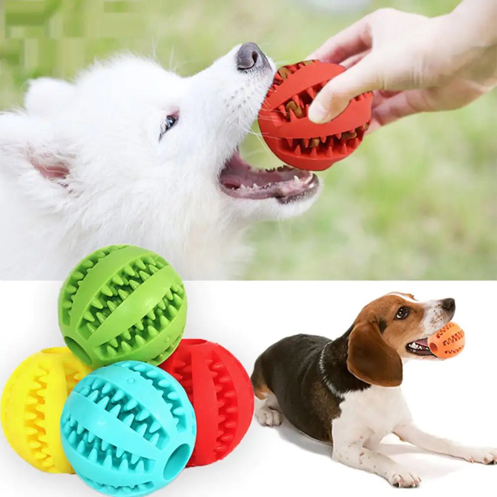 Interactive Toy Balls - Pet Playhouse