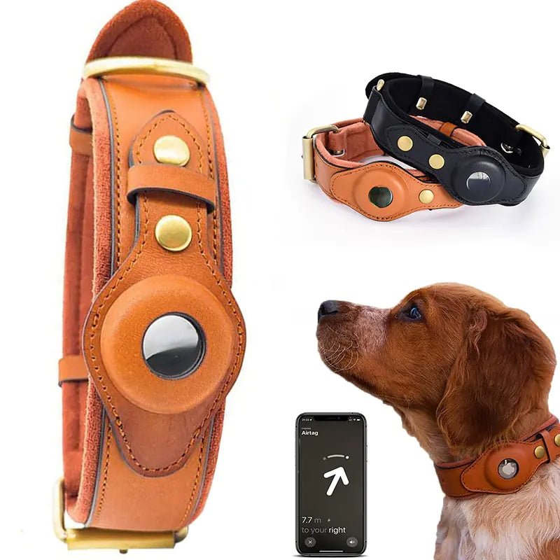Leather Anti - Lost Dog Collar - Pet Playhouse 1