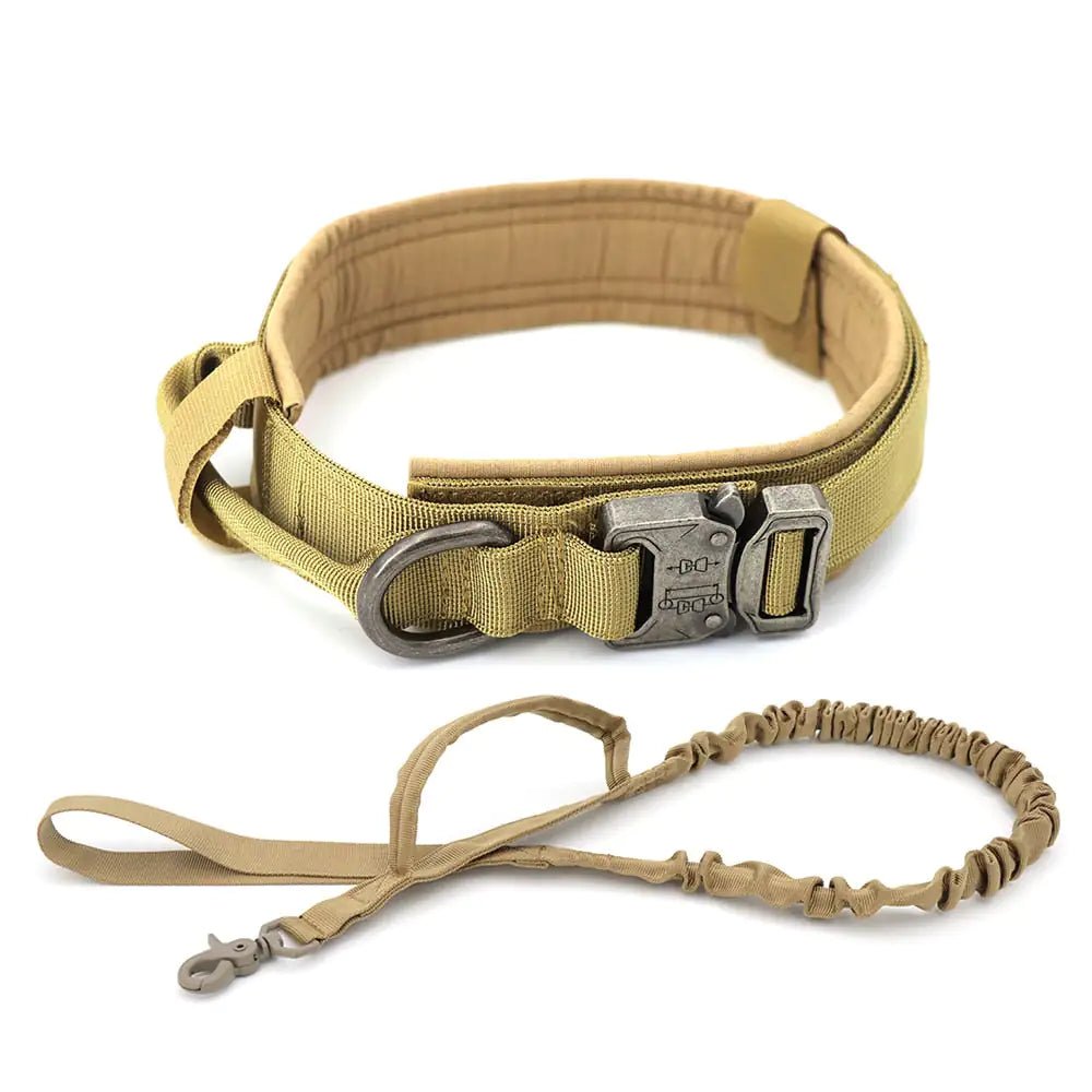 Dog Collar - Pet Playhouse