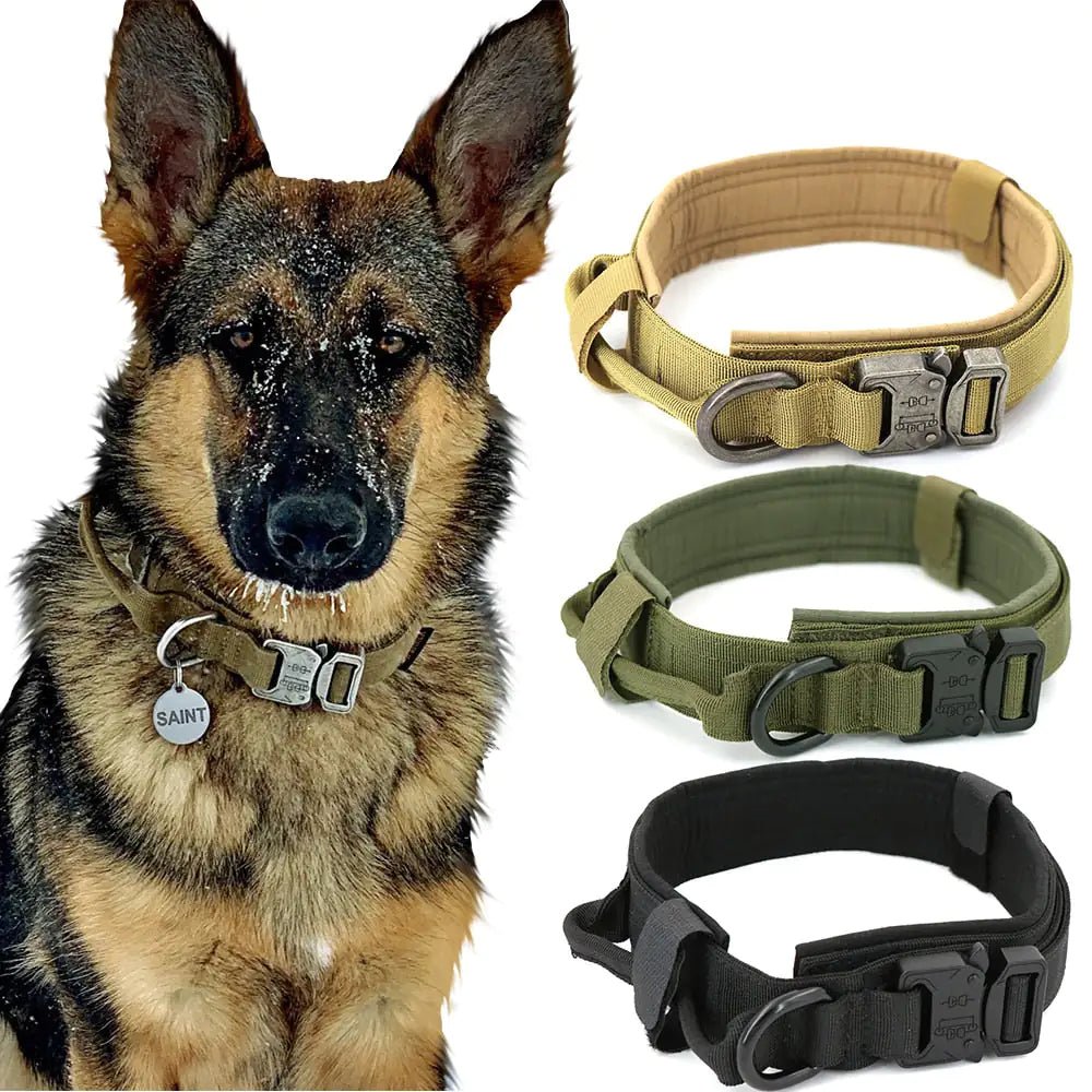 Dog Collar - Pet Playhouse 1