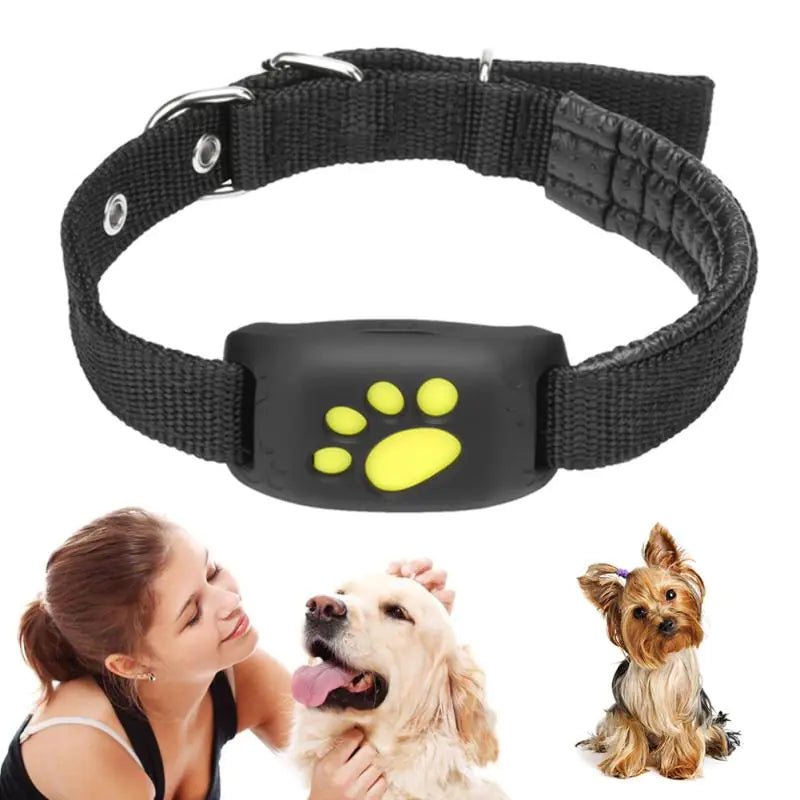 Pet GPS Tracker Collar - Pet Playhouse 1