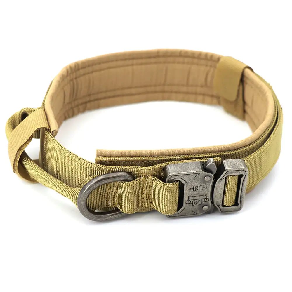 Dog Collar - Pet Playhouse