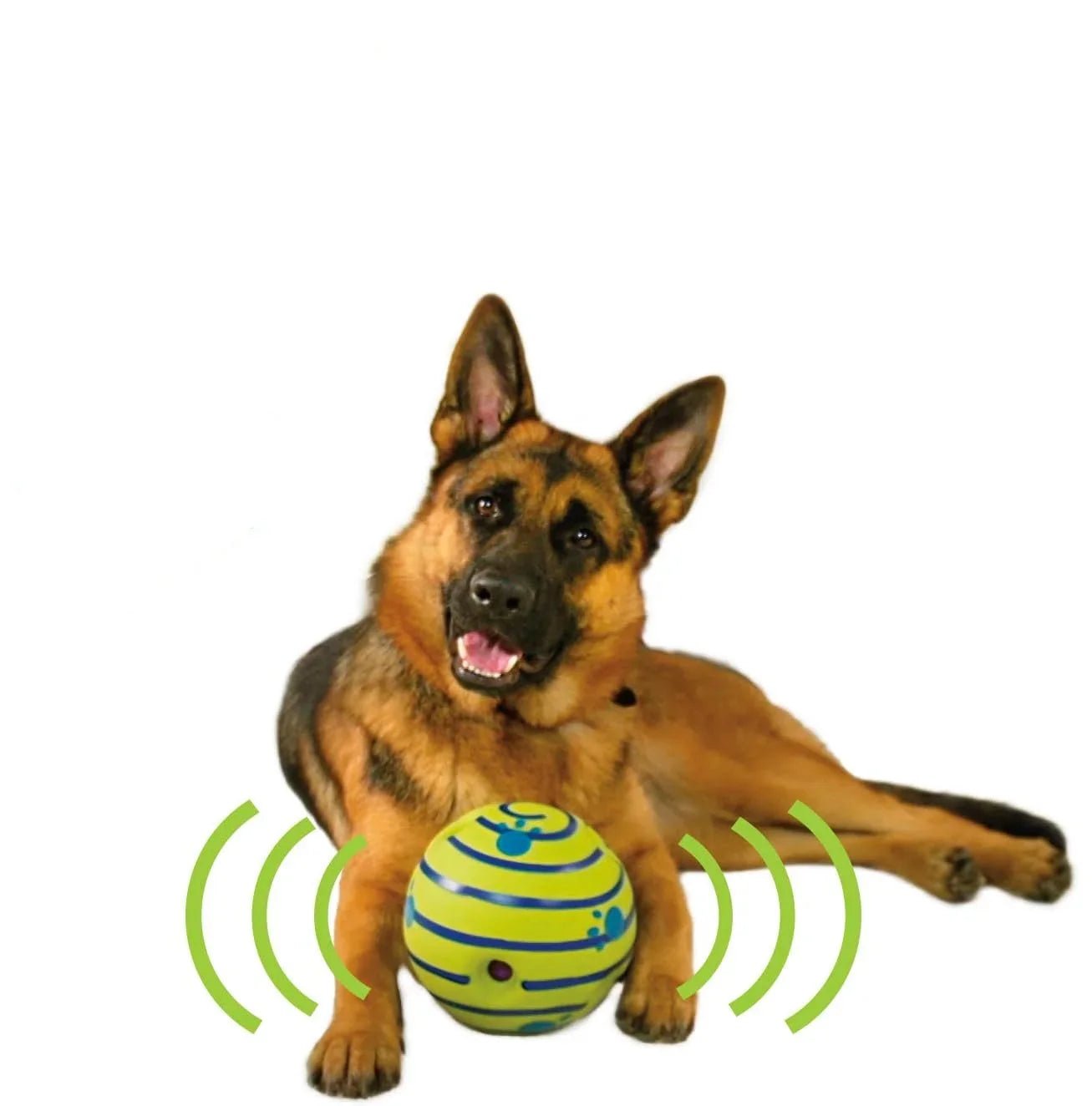 The Wobble Wag - Pet Playhouse 6