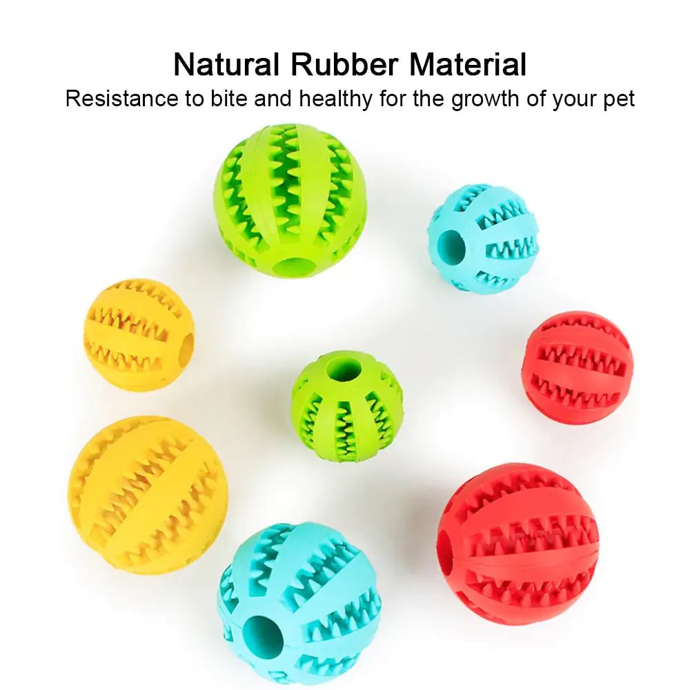 Interactive Toy Balls - Pet Playhouse
